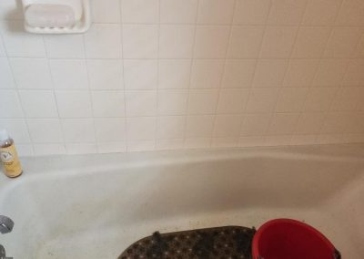 Thorough Cleaning Service