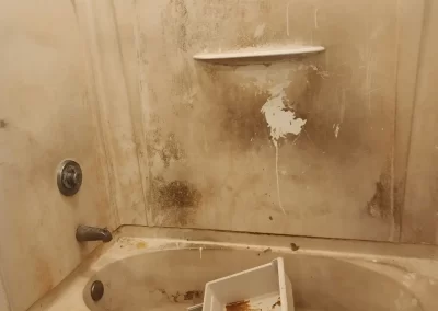 Exceptional Cleaning Service