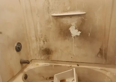 Exceptional Home Cleaner