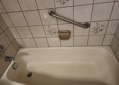 Home Cleaner