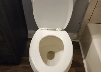 Home Cleaner