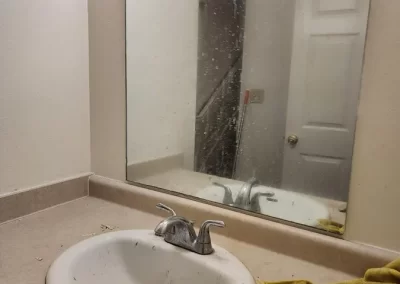 Specialized House Cleaning