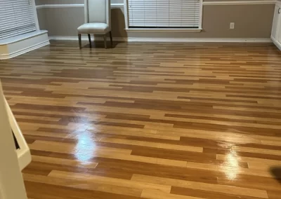 House Cleaning